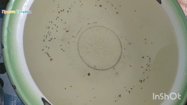 Солодкі ПОМІДОРИ на зиму Популярний рецепт