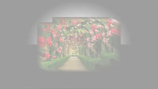 997a69293108d0ea450649def0521a7d