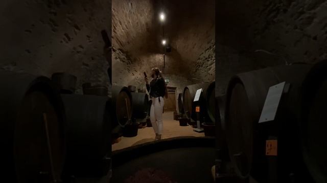 Пезинок. Словакия. Музей винодельни. Парк с утками. Erasmus Students