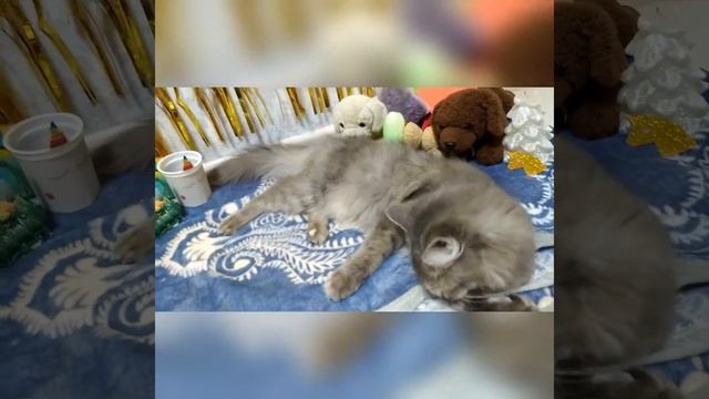 Как сделать оригами закладки//Ермикса