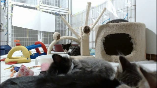 4ae244a16d42f285dd73886755c8df04