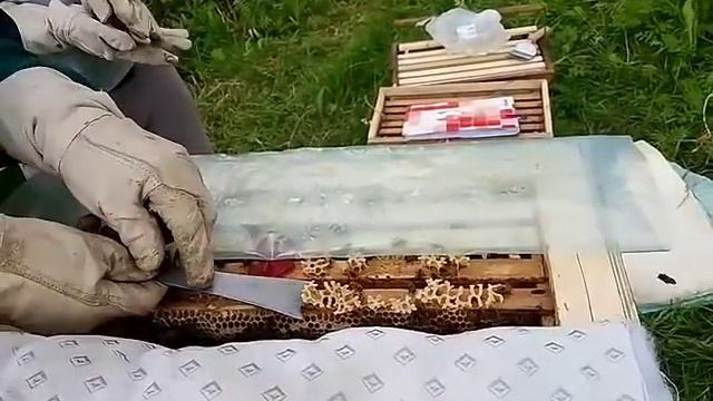 12a1860d65f6f8af2cf2e52d929a8f46