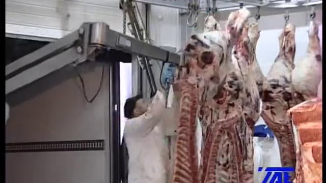 Манипулятор для туш.mpg
