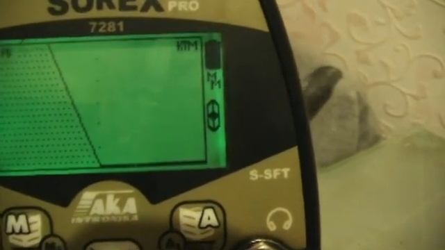 сорекс про S SFT продолжаем знакоство№2