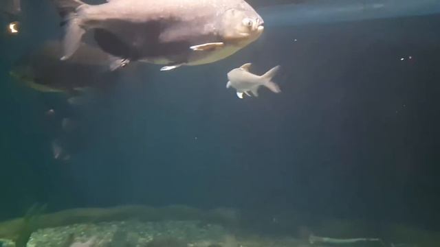 E398e7f07247c6d6ba7e0c80480e7a3e