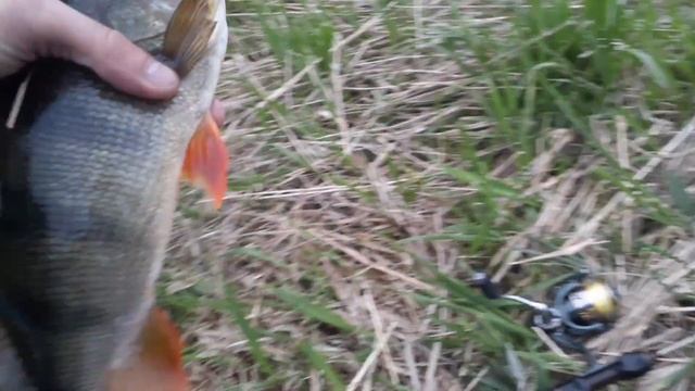 ЭТУ СНАСТЬ НУЖНО ЗАПРЕТИТЬ, так можно ВЫЛОВИТЬ всю рыбу!