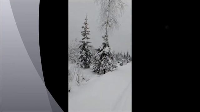 Прогулка по зимнему лесу