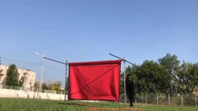 Ризеншнауцер Лорри. Барьер