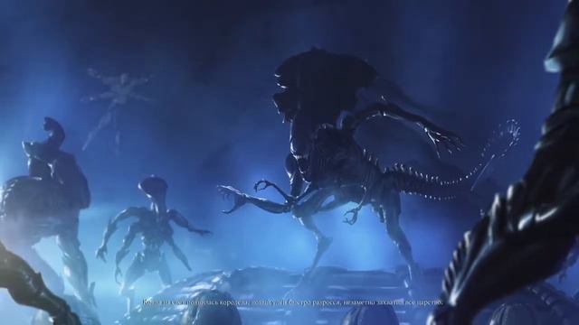 Inspirational Insights