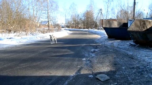 Бомон Росс Евразия.  Как я мусор выносила.