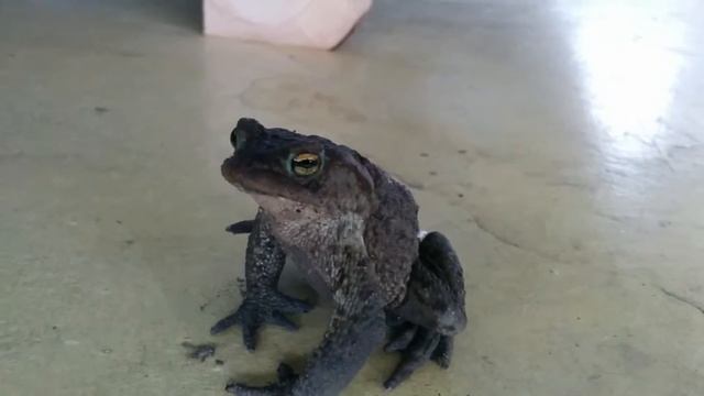 1ba156634790aa76a57a2b3df807f83d