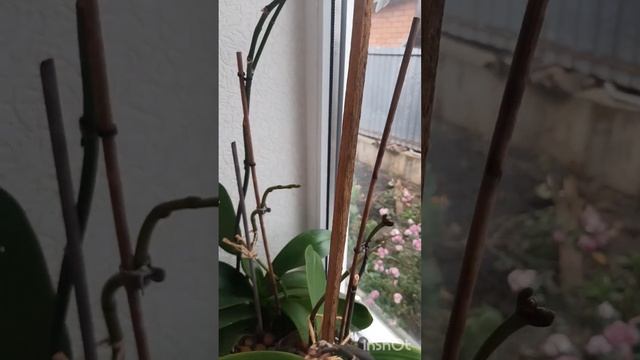 Da0fe04921691563b6f0df0c8519ac61