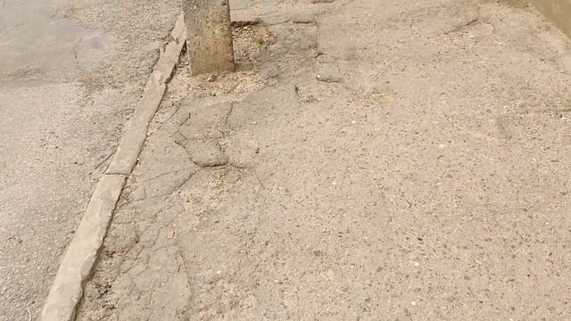 13.04.2022 Черновцы. Разные истории об аренде квартир и весна, которую мы упустили