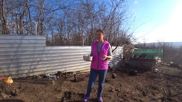 21b699c5e3dd67a173d77062dd75e33f