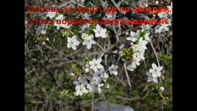 Музыкальная открытка с пожеланиями