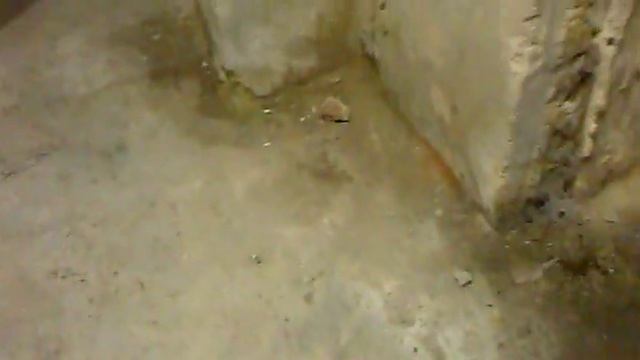 Підвал Львів