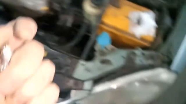 Магия длинных ресниц