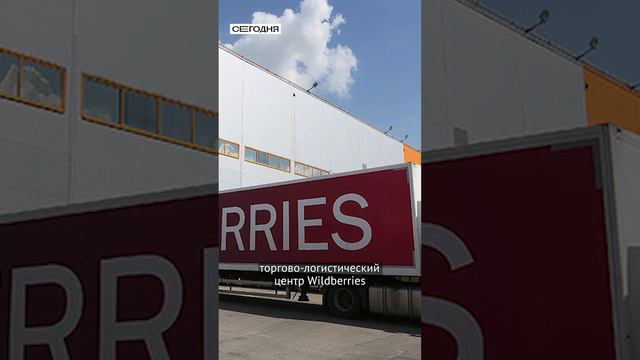 Что Wildberries хочет сделать в Кыргызстане?