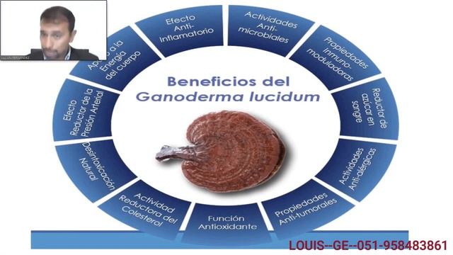 EL GANODERMA LUCIDUM DE GANO EXCEL  Dr  Julian Fernandez  1 S A