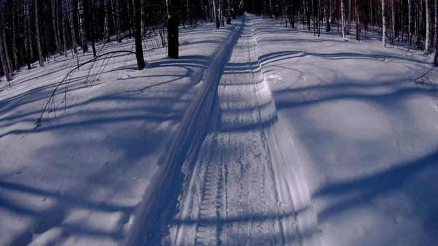 8f1e0b7bbd7a514d29006ab2862adedd