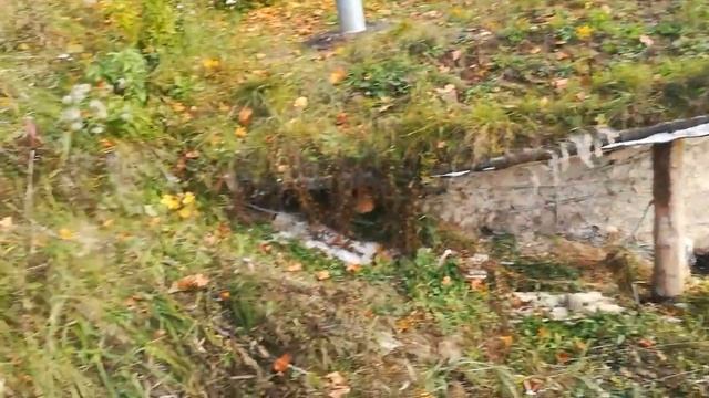 2b0a3d0c6d09c2fd99bfb834410c759b