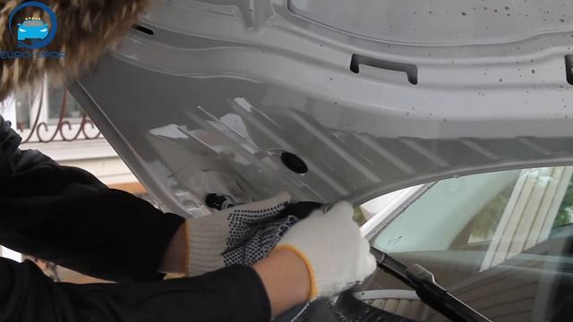 Спортовая Гармония