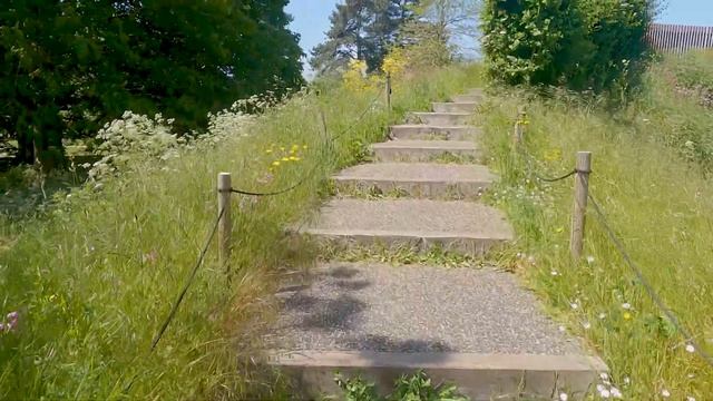 London Vlog | Kew Gardens In Early Summer | Temperate House | Palm House | The Hive | River Thames