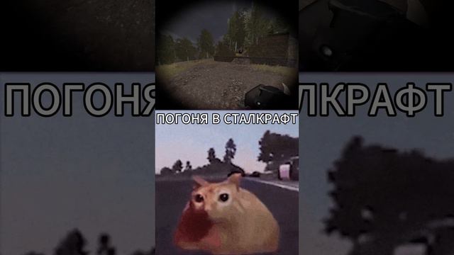 STALCRAFT X МЕМ #liar #stalcraft #shorts #stalker