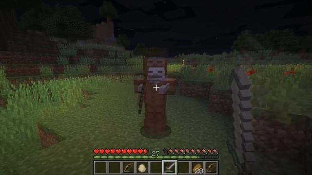 Everything You Need To Know About SKELETONS In Minecraft!