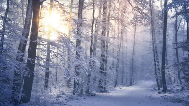 Ты   моя истина, Ты   моя радость | Песнь возрождения | христианская музыка