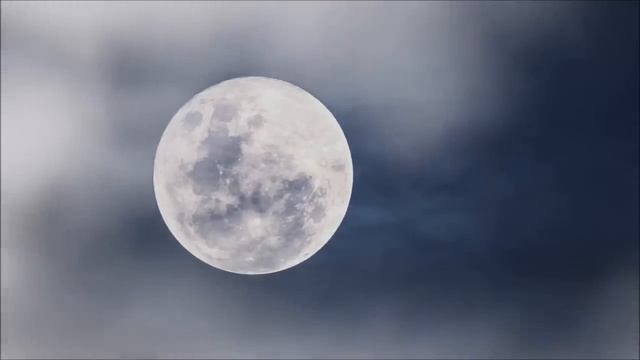 Немедленно переодень эту кофту