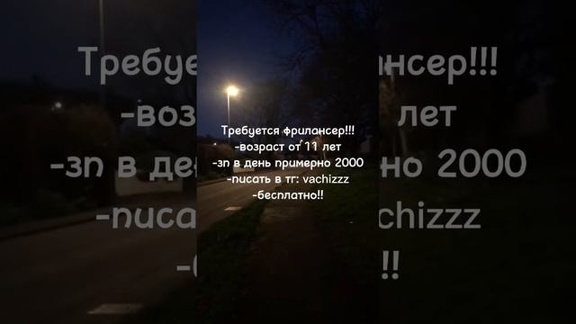 #заработок #фриланс