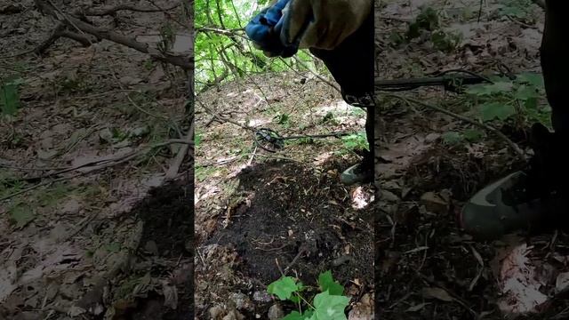 Вот такие находки, с металлоискателем и лабрадором в лесу, в поисках клада