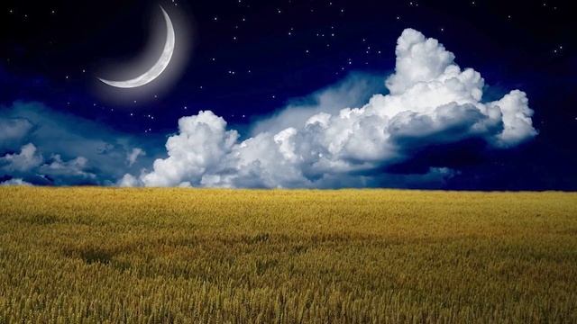 С праздником 8 марта