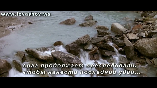 Никогда не сдавайся !