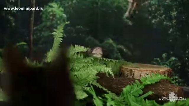 459af53169c208008b5fd00207532a2e