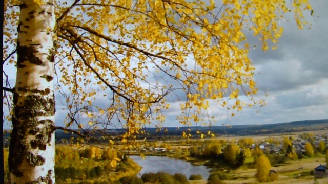 ,,В жизни так бывает...