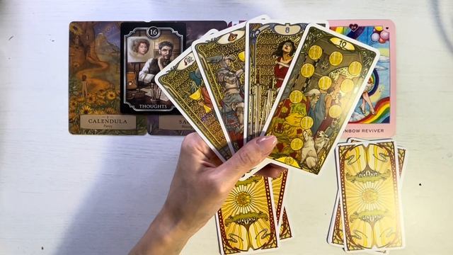 ♈️❤️ ?????? ????????? ❤️♈️ ?????????? ?????? ?? ??????! ????????!