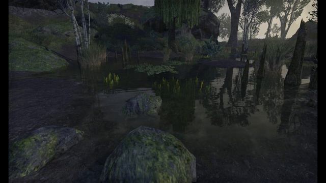 Virtual Retreats | Peaceful Stormy Swamp | 4K | The Elder Scrolls Online