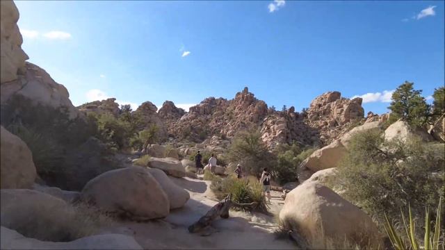 Hidden Valley Trail Walking Tour | Joshua Tree National Park Nature Hike