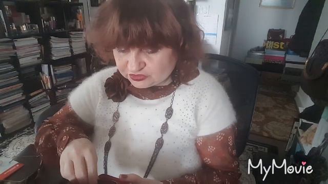 ДОПОЛНЕНИЕ: МОЯ КОЛЛЕКЦИЯ ЗАТЕМНЕННЫХ ОЧКОВ