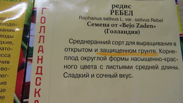ПОСЫЛКА. ВСХОДЫ. НОВЫЙ ГИБРИД ПЕТУНИИ.