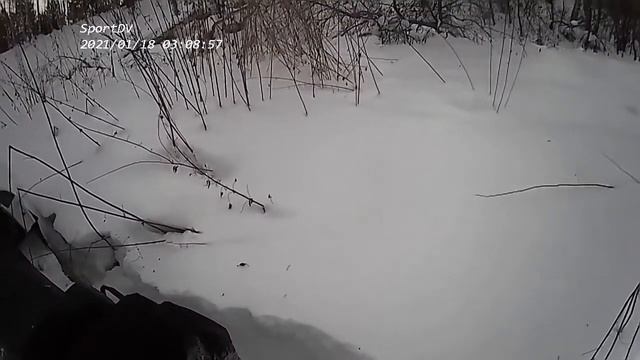 В дебри. День 1