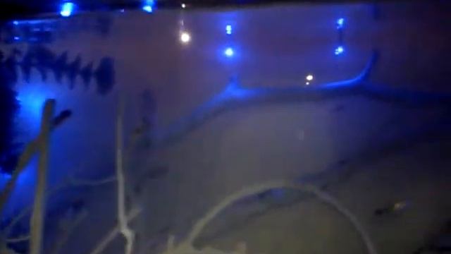 Final Fantasy Aquarium