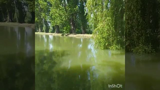 B21b671c715e458c3ad38061830e0841