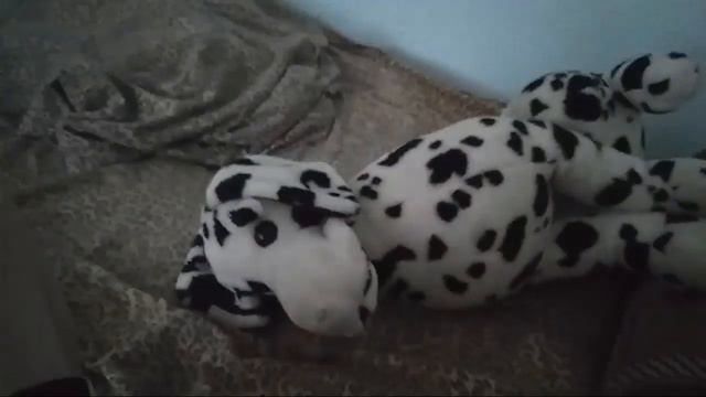 12448d5b2e3782f6a06ed8300e1f74e1