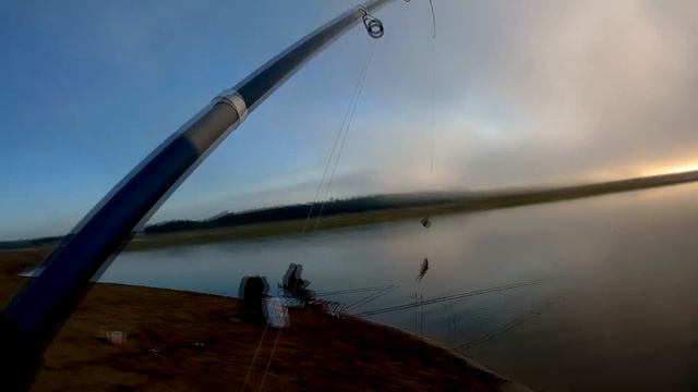 Чудесная рыбалка НА донки (ЗАКИДУШКИ) на карася в сказочное утро