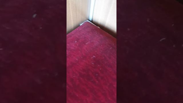 087a9a8de081a0bf5484e150f4745aa3