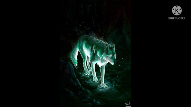 клип номордник