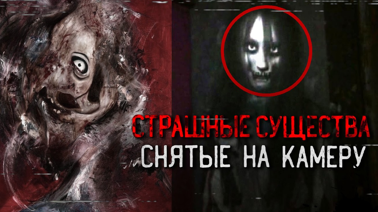 497c84b5bb9856b7677235a553010908